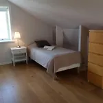 Gula Huset